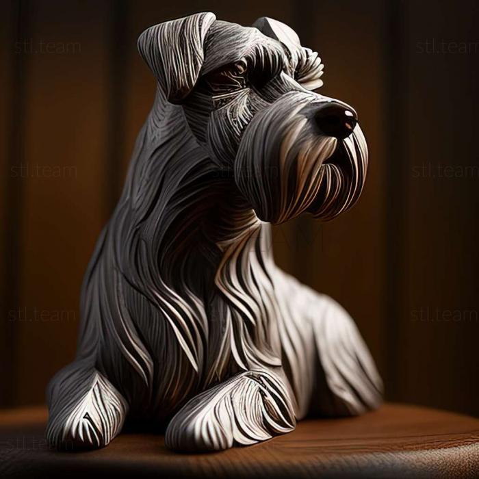 Zwergschnauzer dog